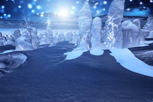 istock Beautiful winter wonderland during the night 884041848