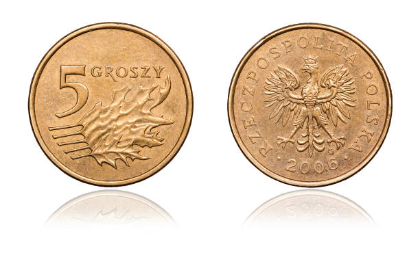 istock Coin 5 pennies a mirror image. Poland, 2006 884042016