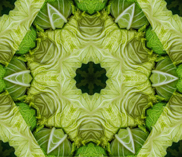 Abstract background with geometric kaleidoscopic design obtained from green cabbage heads at the farmer's market Horizontal illustration created out of a triangular section of a photograph, in a kaleidoscopic pattern. Graphic resource as abstract background, textile print, wallpaper and geometric inspiration. fractal plant cabbage textured stock pictures, royalty-free photos & images