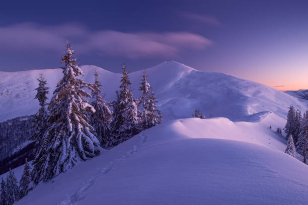 istock Snowy spruce-trees on background of winter mountains 884048680