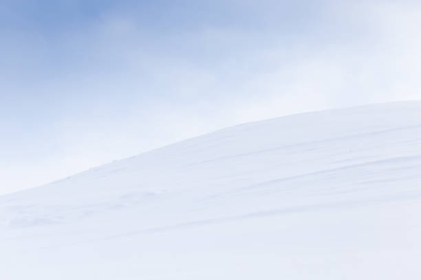 istock snowfield in nature 884054860