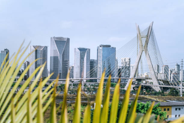 istock Famous cable stayed bridge at Sao Paulo city 884062584