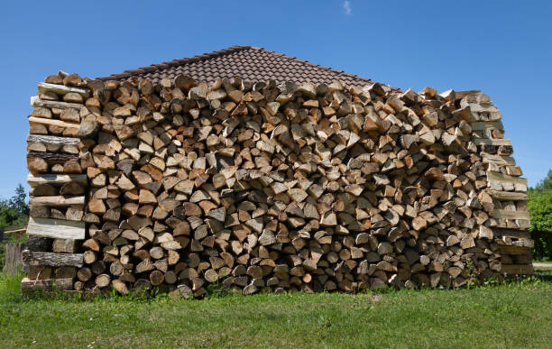 istock Pile of firewood outside. 884065988