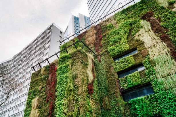 ecologic building architecture in são paulo, brazil - urban scene brazil architecture next to imagens e fotografias de stock