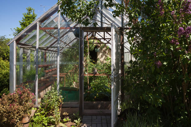 istock Natural garden greenhouse. 884066924