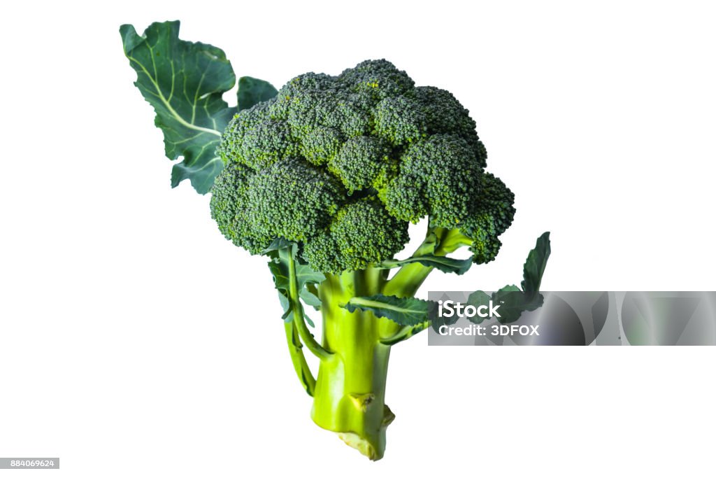 broccoli Broccoli Stock Photo