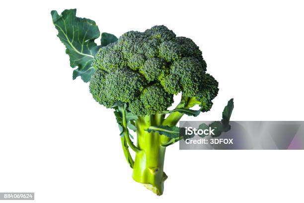 Broccoli Stock Photo - Download Image Now - Broccoli, Agriculture, Botany