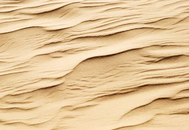 Photo of Beautiful wave pattern in the desert sand