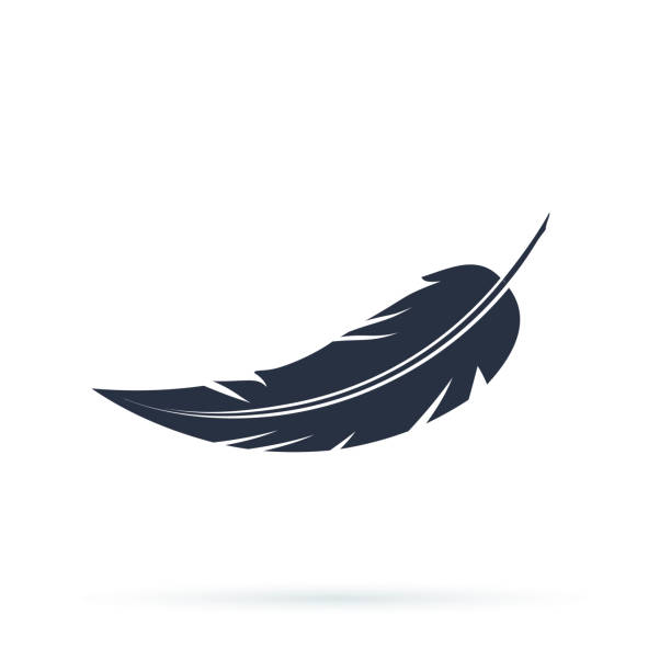 Feather vector icon isolated on white background Feather vector icon isolated on white background. Vector illustration in a flat style, Silhouettes of dark feather as element for design. feather vector illustration stock illustrations