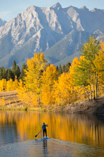 Autumn Stand Up Paddleboard Adventure A woman enjoys a end-of-day stand up paddleboard trip on a lake in the Rocky Mountains of Canada in autumn. paddleboard surfing oar water sport stock pictures, royalty-free photos & images