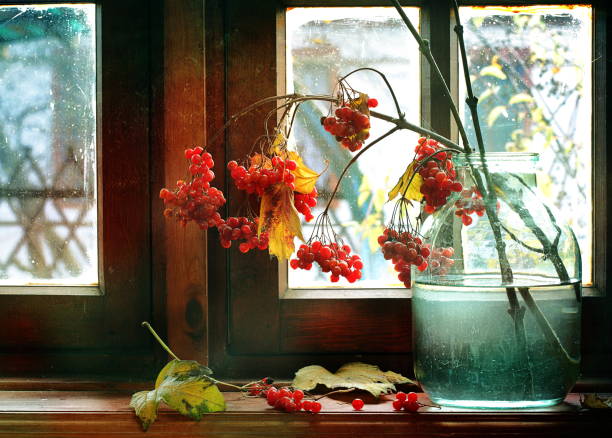 Still life with a viburnum on a wooden window ledge