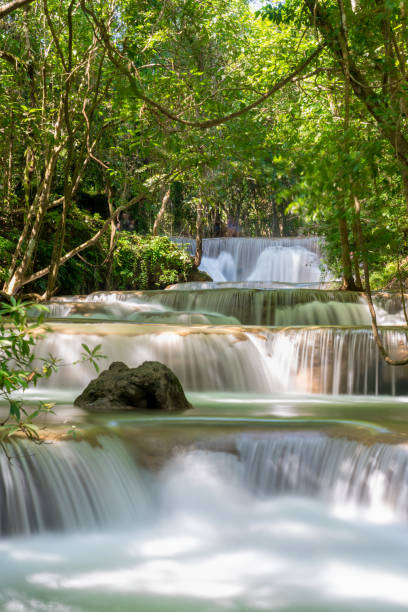 водопад хуай камин: tier 1"nkanchanaburi, таиланд - srinakarin стоковые фото и изображения