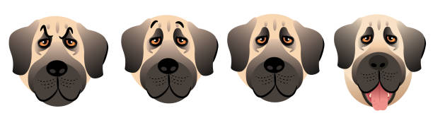 kangal (sivas) - sivas stock-grafiken, -clipart, -cartoons und -symbole