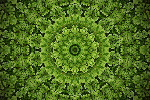 Abstract greenery blurred background, Moss ground cover plant with kaleidoscope effect.