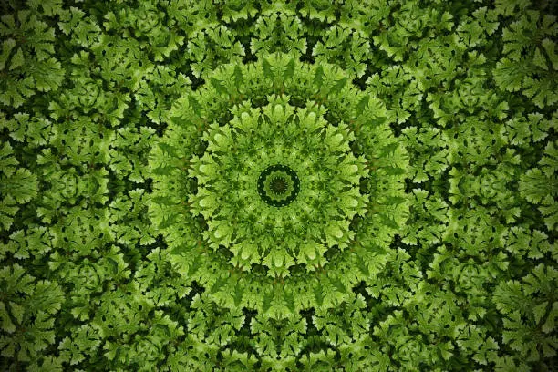 Abstract greenery blurred background, Moss ground cover plant with kaleidoscope effect.