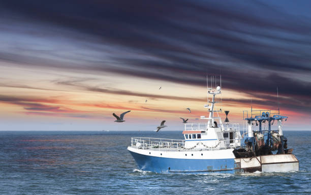 ready to work, small fisherman ship toward the sea early in the morning, france, guilvinec - naval ship imagens e fotografias de stock