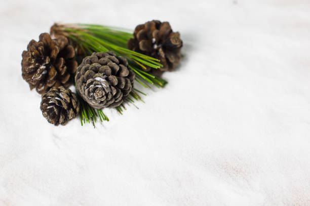 istock Dry pine cones and green leafs on snow background with copy space. 884095204