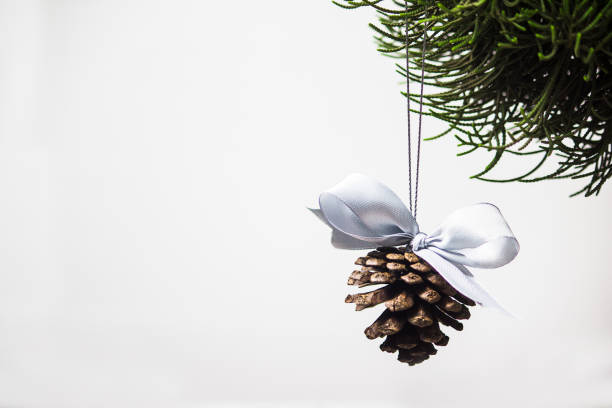 Close up pine cones with white ribbon hanging on pine tree leaf on white background with copy space. Christmas background concept.