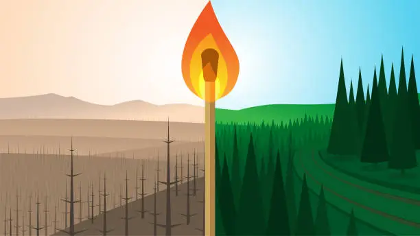 Vector illustration of Forest Landscape Before and After Fire