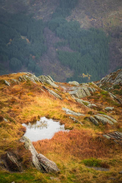 istock Dramatic landscape of mountains from Mount Ulriken 884106882