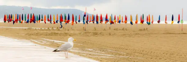 Photo of the beach of Deauville