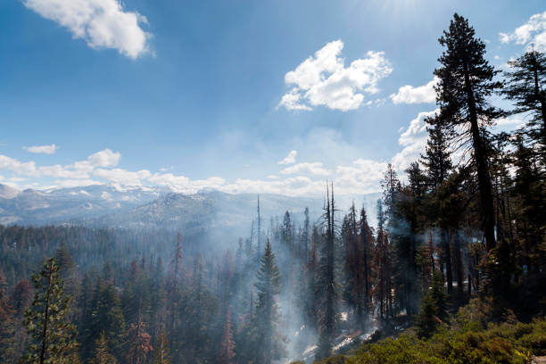 istock Prescribed Fire in Yosemite National Park 884109494