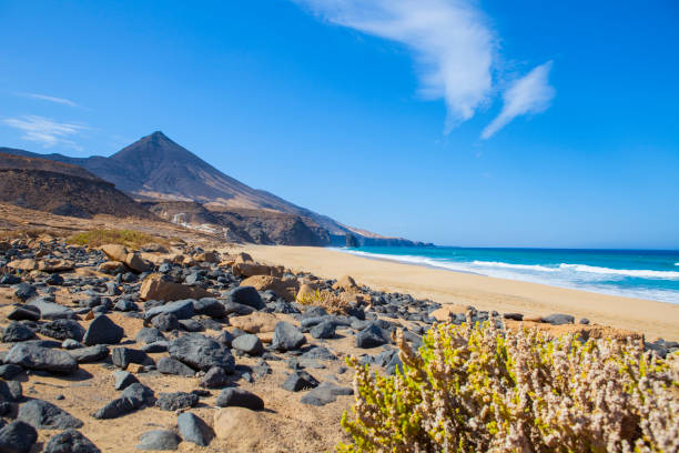 aguda de montaña, cofete praia e roque del moro - marco geológico de fuerteventura - volcanic landscape rock canary islands fuerteventura - fotografias e filmes do acervo