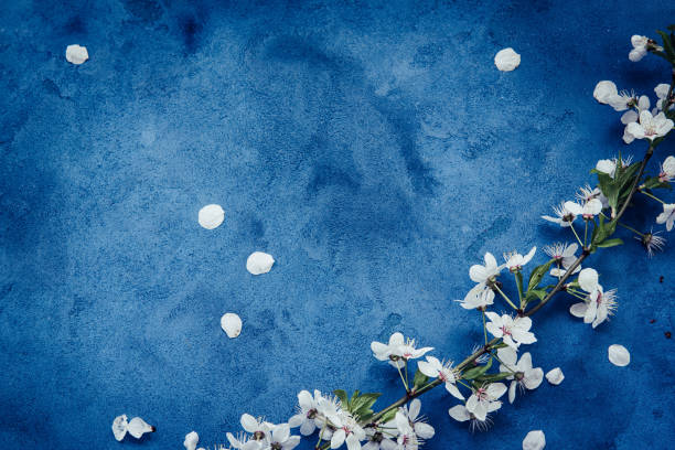 istock Grunge floral background 884116406