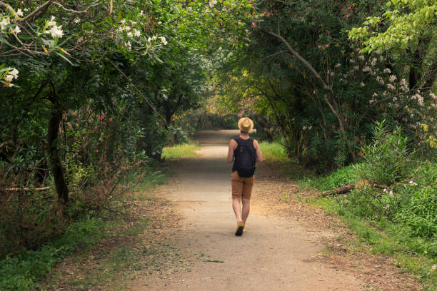 istock one young man back, rear view, outdoor walking thought forest vacation. 884116752