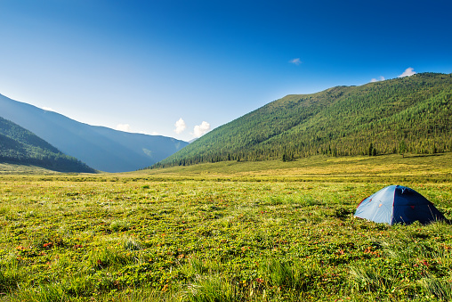 Picturesque landscape, tourist tent on mountain meadow  field dawn sunrise backpacking against background of high mountain, wild nature, ecological tourism, Mountain Altai Russia