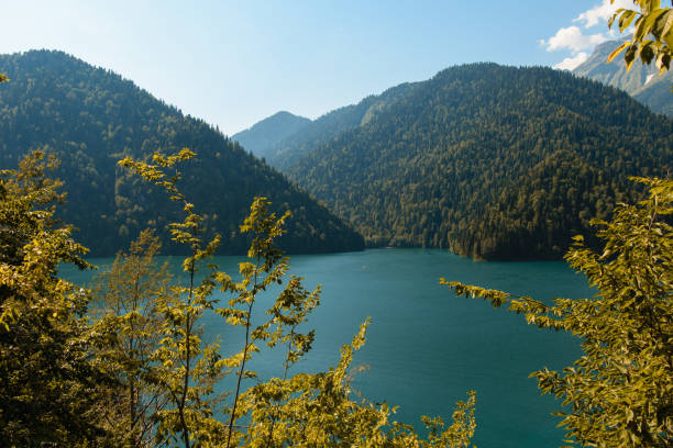 istock Ritsa lake in Abkhazia 884131006