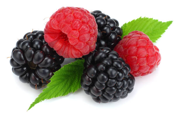 istock blackberries with raspberries and green leaf isolated on white background. macro 884152342