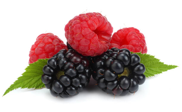 istock blackberries with raspberries and green leaf isolated on white background. macro 884152382