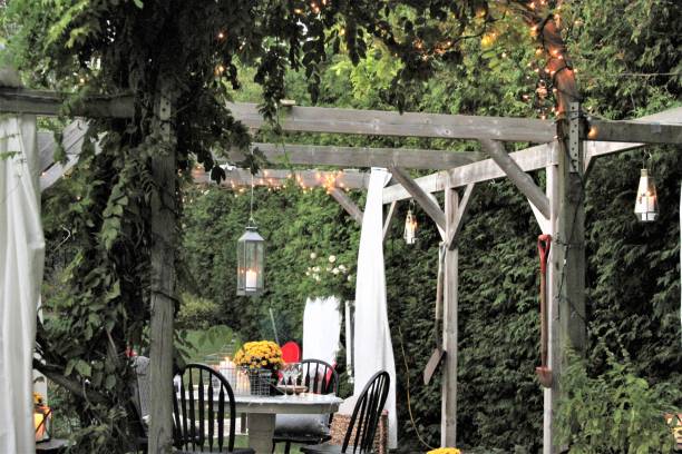 istock Pergola with outdoor dining area 884178714