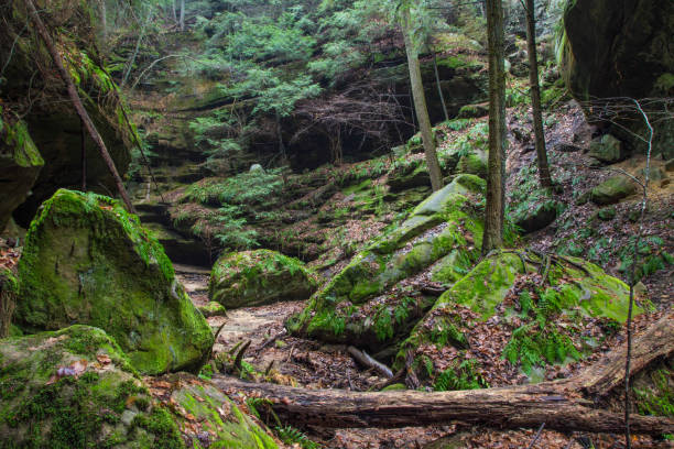 istock Enchanted Forest Valley Landscape In Hocking Hills State Park In Southeastern Ohio 884183468