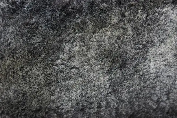 Photo of gray dark fur of a piece of clothing
