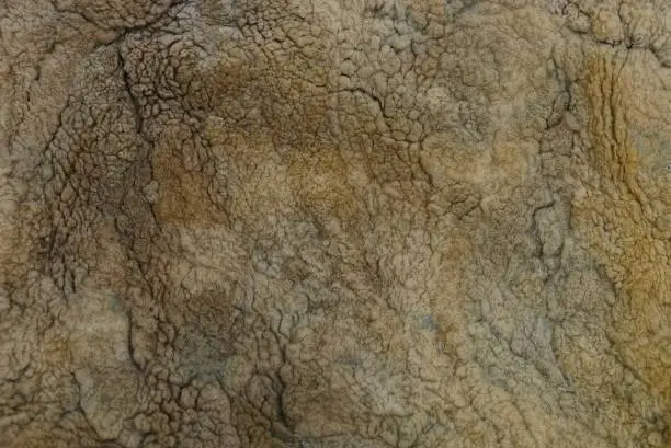 Photo of brown background of a piece of fur on clothes