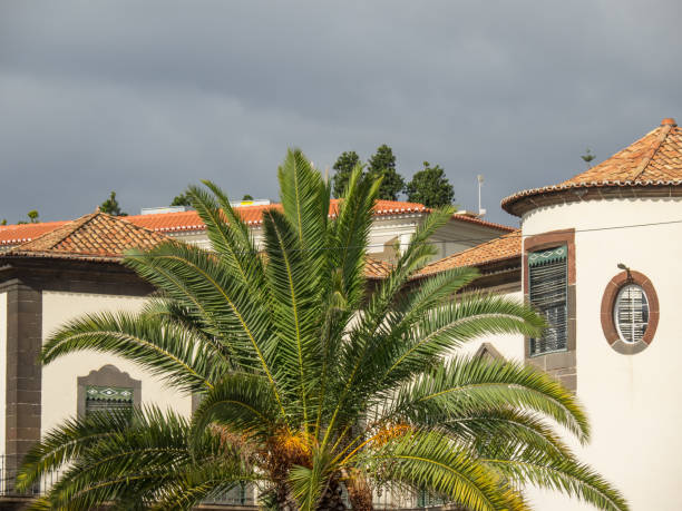 istock madeira in portugal 884190604