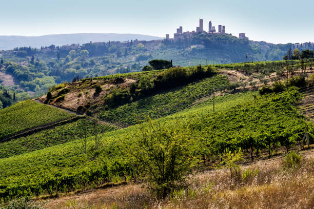 istock San Gimignano, Tuscany 884191058