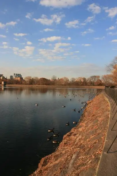 Photo of Walking clock wise around Jacqueline Kennedy reservoir in  New York City Central Park