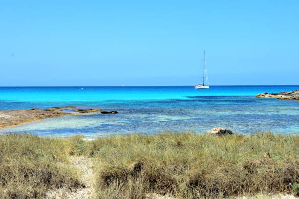 istock Ibiza: the island of the sun 884197776