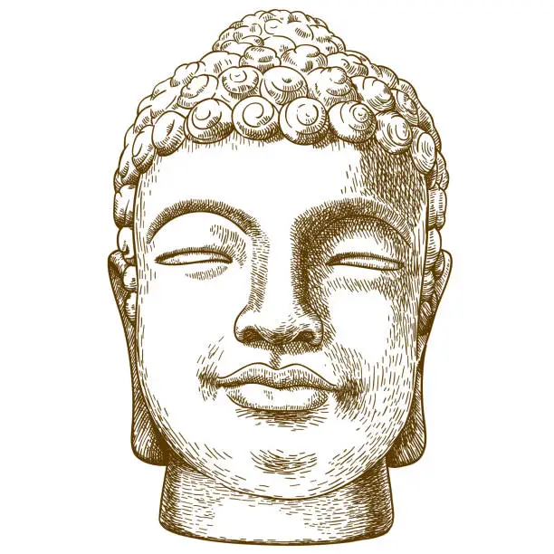 Vector illustration of engraving drawing illustration of stone buddha head