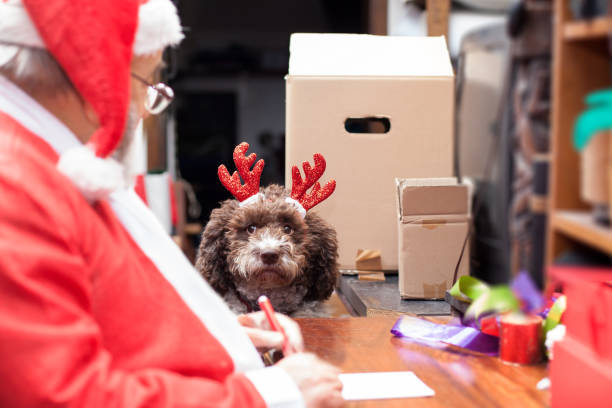 아버지 크리스마스 귀여운 강아지와 함께 바쁜 그의 책상에는 편지를 쓰고 - santa claus christmas watch workshop 뉴스 사진 이미지