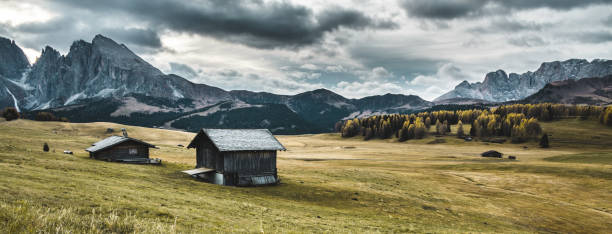 chata z bali w seiser alm - european alps germany landscaped spring zdjęcia i obrazy z banku zdjęć