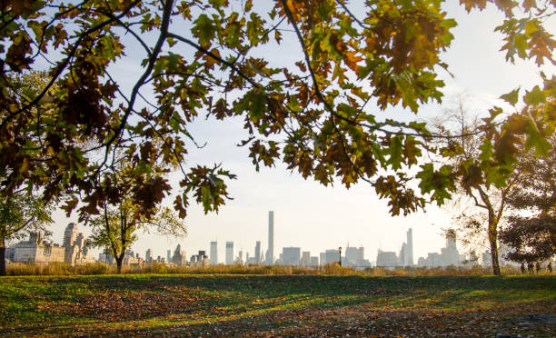 istock New York cityscape with autumn colored tree 884221398