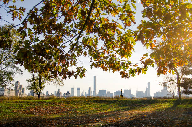istock New York cityscape with autumn colored tree 884221598