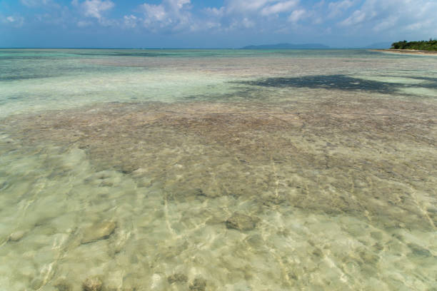 istock View to the Beach from West Jetty (Taketomi Island/Taketomi-jima, Okinawa) 884270030