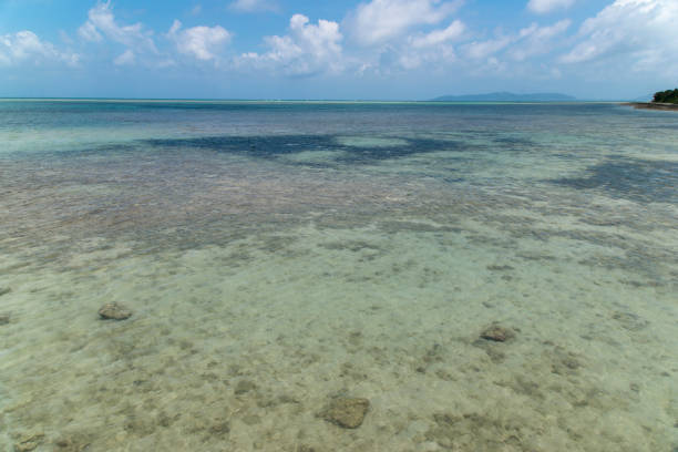 istock View to the Beach from West Jetty (Taketomi Island/Taketomi-jima, Okinawa) 884273426