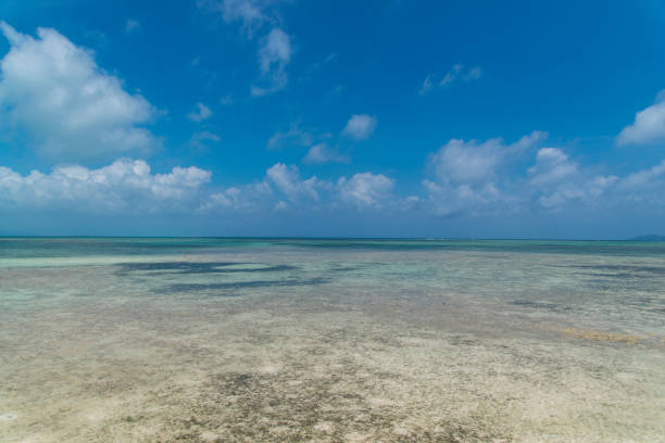istock View to the Beach from West Jetty (Taketomi Island/Taketomi-jima, Okinawa) 884273592
