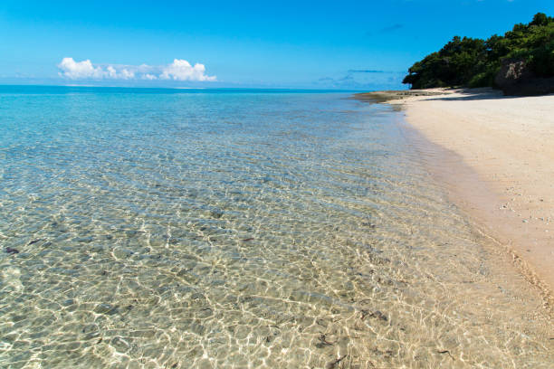 istock View to the Yara Beach / Yarahama (Hatoma Island/Hatoma-jima, Yaeyama Islands of Okinawa) 884295478